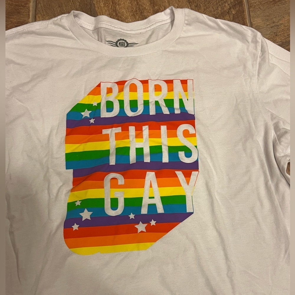 Mad Engine Women’s 2X Born This Gay T-Shirt Long Sleeved Multi Colored front